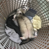 ソラ
