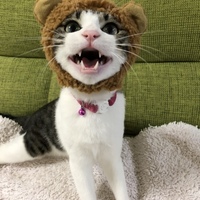 マルちゃん