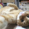 横浜夫婦アラサー