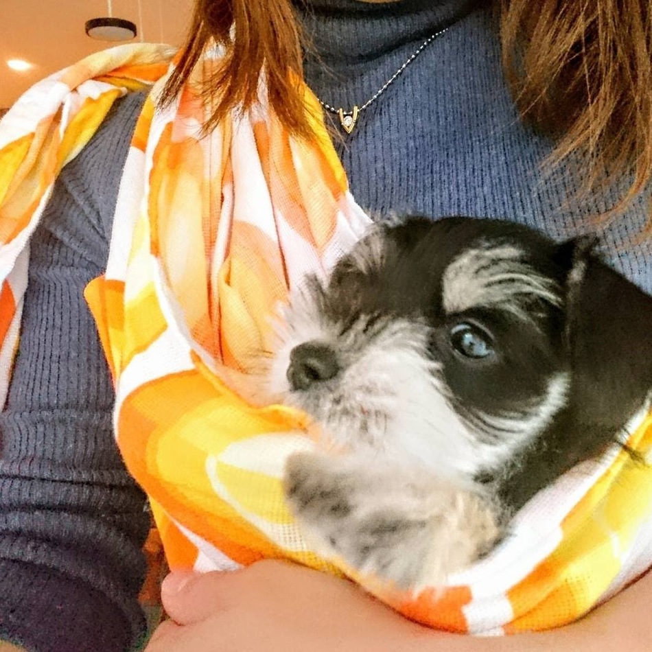 むーみんのカバー写真