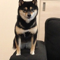 そら
