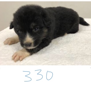 引き出されました。