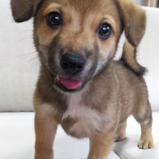 僕のこの指とーまれ！！