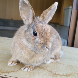 大切にしてくださる方