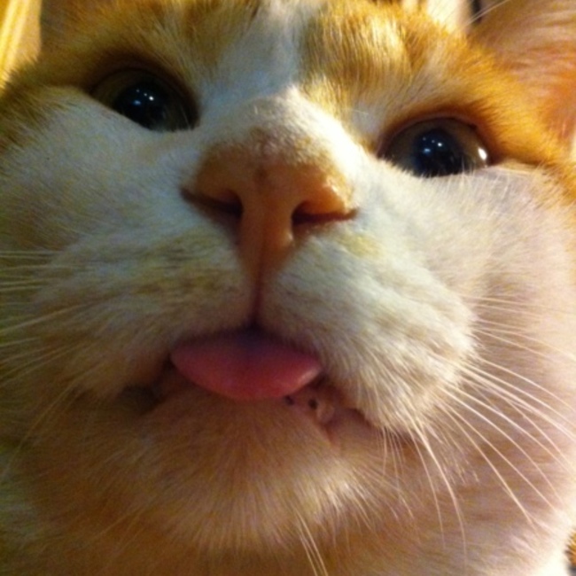 くぼっちーずのカバー写真