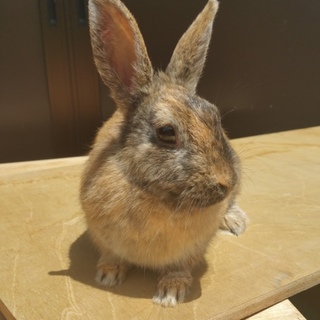 大切にしてくださる方