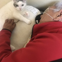 ひろにゃん