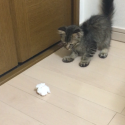 サッカー少年☆