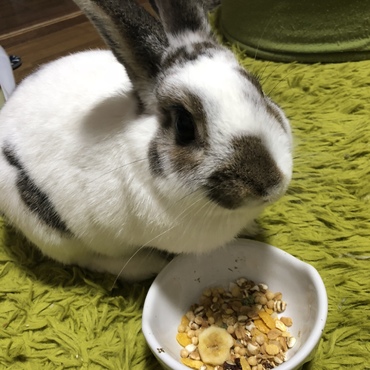 ぶっちくん、入り口を開けると、飛び出して来ます。