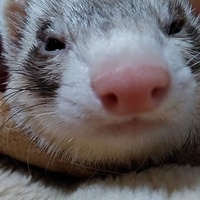 晴生
