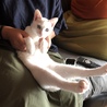 の写真