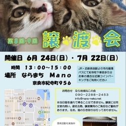 第9回なら地域ねこの会 譲渡会