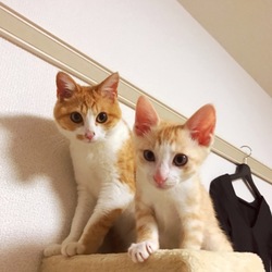 トライアル5日目～マイペースな2人～