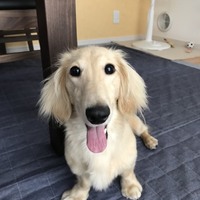Chuck