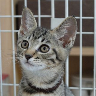 甘えん坊の『イクラ』ちゃん