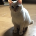 寂しがり屋の男の子です