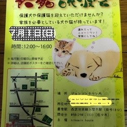 入間市ジョンソンタウン犬猫の譲渡会