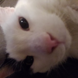 鼻がチャームポイント♪