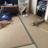 の写真