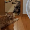 の写真