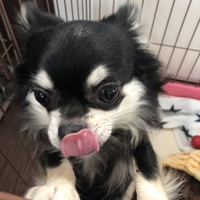 ひなた