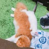 仲良く一緒に寝てます