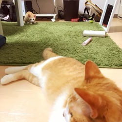 トライアル6日目～大人の余裕～