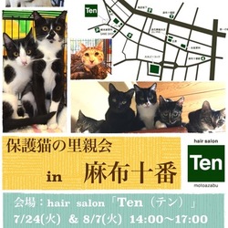 7月24日(火) 地域猫から社会猫へ FIPフリー 麻布十番里親会(ボランティア募集中)