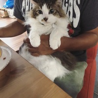お父さん
