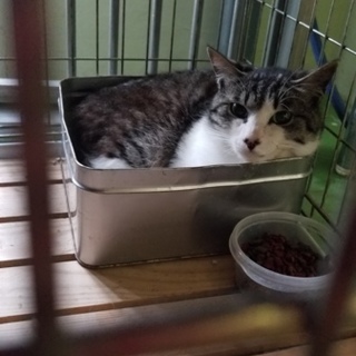 里親様決定❤  ありがとうございました