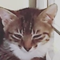 ビビ