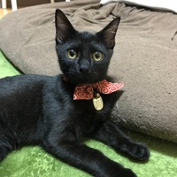 ゆきち