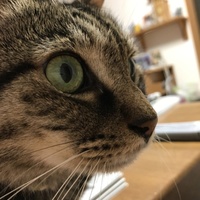 向井ぼぶ