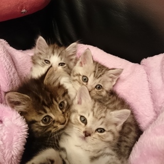 とっても人が大好きです