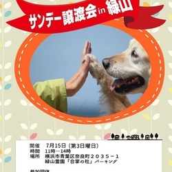 サンデー譲渡会in緑山 サムネイル1