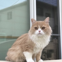 そら