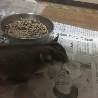 交渉中につき1度打ち切ります。