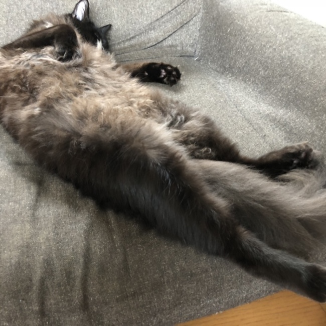 なーーーのカバー写真
