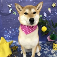 なる