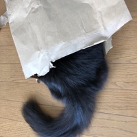 しゃぼんだま/ながちゃん