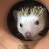 タワシタワシ