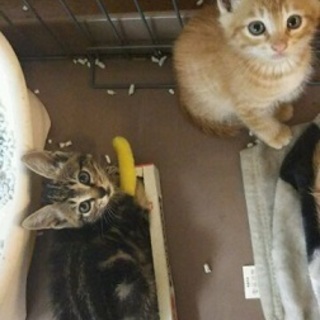 名もなく生まれた命に幸せを・・