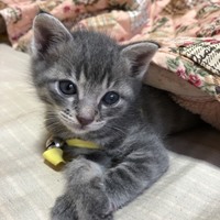 ふくまる