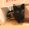 の写真
