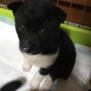 募集一旦停止させて頂きます。ありがとうございます！