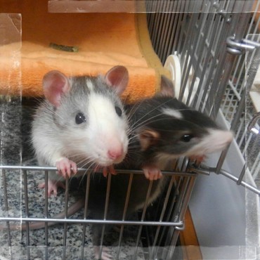 急な同居だったけどすぐに仲良くなりました