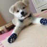れおもも