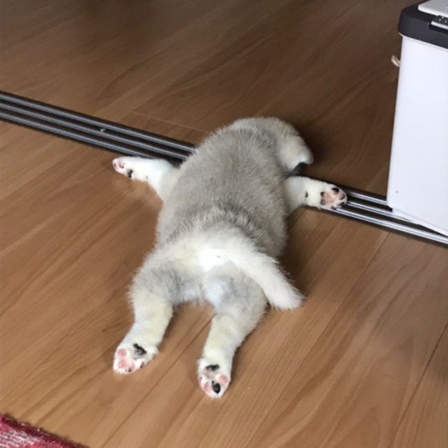 れおもものカバー写真