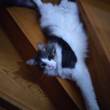 この場所好きなんです