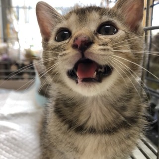 お問合せがあり一旦停止です。